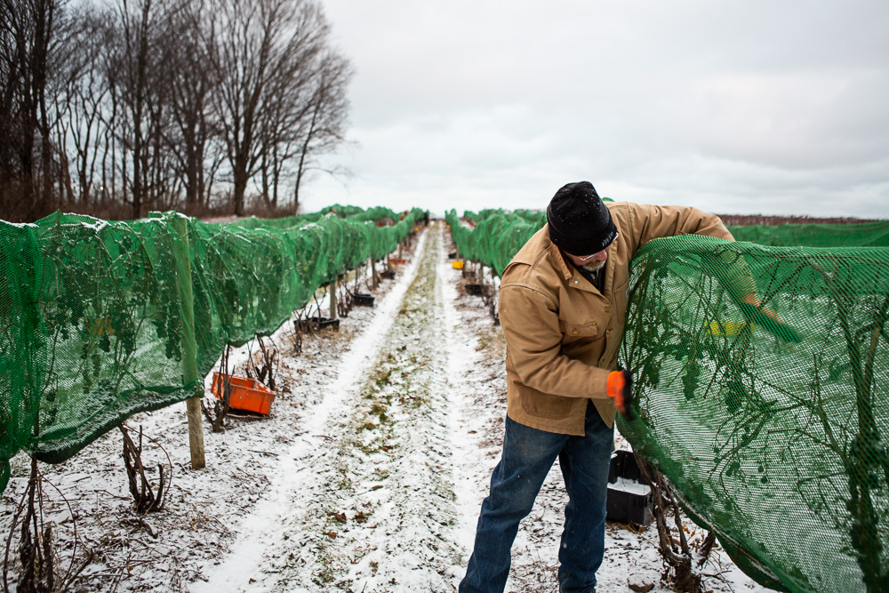 A Family Legacy of Service: Why November is Our Most Personal Month at Johnson Estate Winery