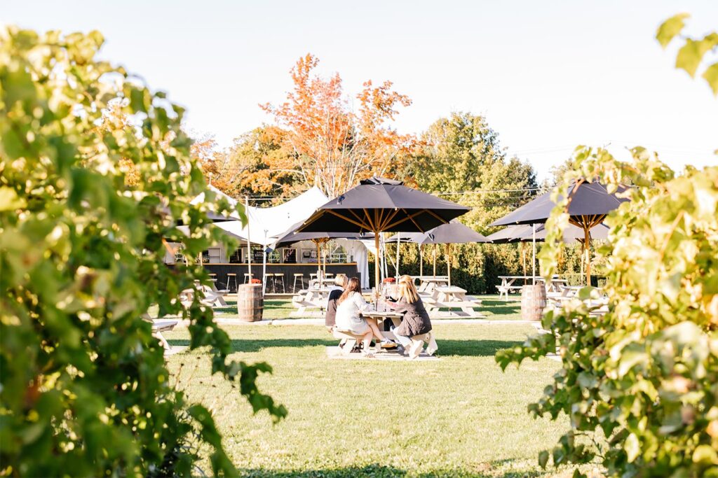 Friends enjoying a sunny afternoon at FLIGHT in Westfield NY.