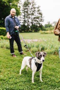 A visitor walking a leash-bound dog on the vineyard trails in Western New York